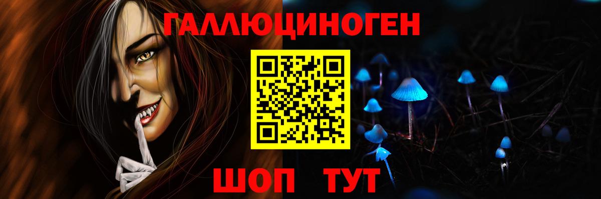 Камышлов  Псилоцибиновые грибы мухоморы  где продают наркотики  Вход с VPN 